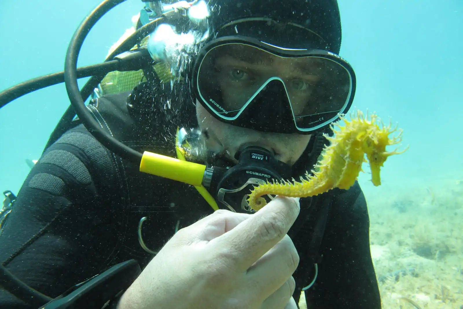 Diving Novalja Island of Pag Croatia