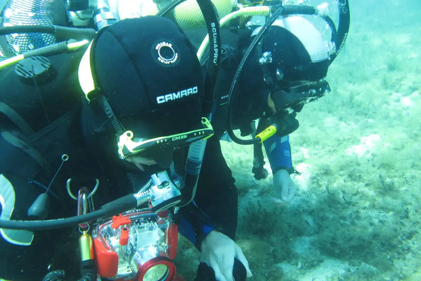 Diving Novalja Island of Pag Croatia